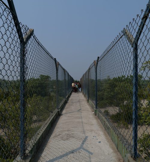 P1073462