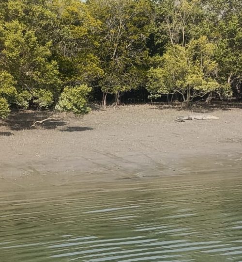 WhatsApp Image 2026-01-23 at 15.37.15